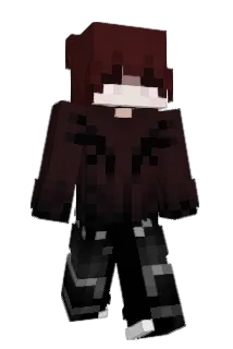 haydenn Minecraft avatar full body
