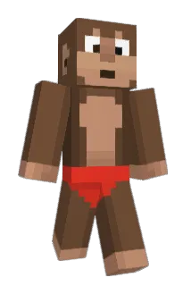 haydenthemonkey Minecraft avatar full body