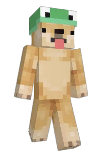 haydentow Minecraft avatar full body