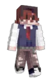 hayw Minecraft avatar full body