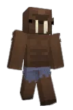 hayydn333 Minecraft avatar full body