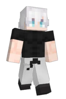 hde Minecraft avatar full body