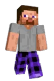 hdwsm Minecraft avatar full body
