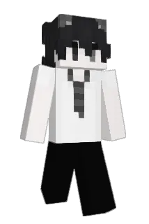 healtes Minecraft avatar full body