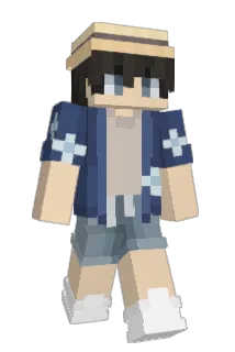 heartsforisa Minecraft avatar full body