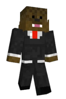 heathertran Minecraft avatar full body