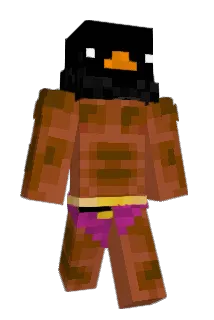 hectourm Minecraft avatar full body