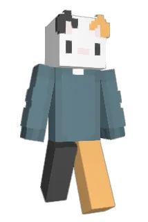 heebiejeebiess Minecraft avatar full body