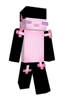 heepswillard Minecraft avatar full body