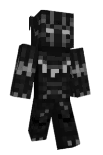 hegs35 Minecraft avatar full body