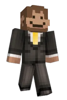 heiNiksii Minecraft avatar full body