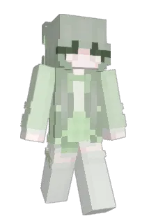 hein1201 Minecraft avatar full body