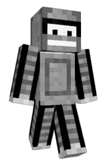 heinburger Minecraft avatar full body