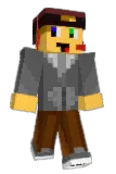 heindpl Minecraft avatar full body