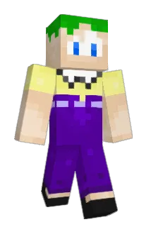heinz9000 Minecraft avatar full body