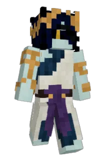 heinzsoop Minecraft avatar full body