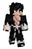 heiter Minecraft avatar full body