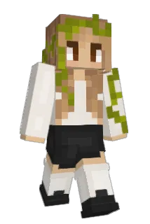 hejtove Minecraft avatar full body
