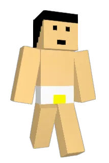 hekopin Minecraft avatar full body