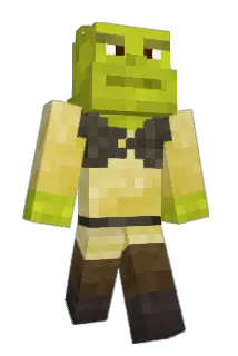 helicopterharry Minecraft avatar full body