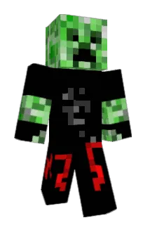 helminer Minecraft avatar full body