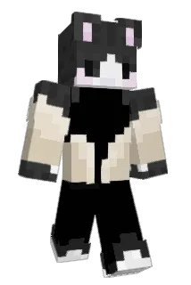 helmitkid Minecraft avatar full body