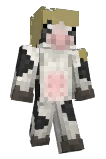 henryetaa Minecraft avatar full body