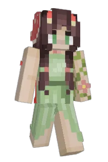 henryhankry Minecraft avatar full body