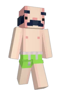 henswieee Minecraft avatar full body