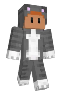 heroijsbeer Minecraft avatar full body