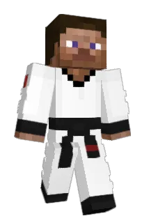 heybroimcool Minecraft avatar full body