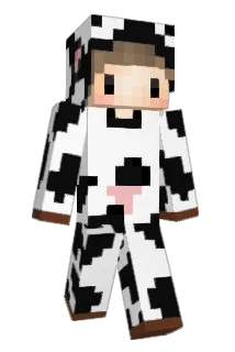 heycasey Minecraft avatar full body