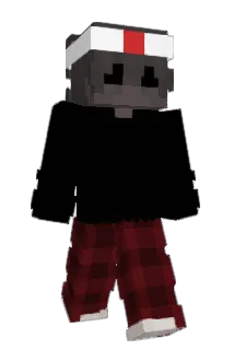 heyfrnd Minecraft avatar full body