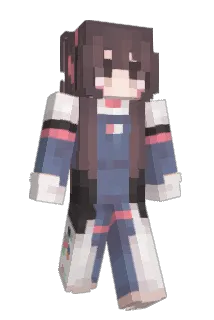 heysocks Minecraft avatar full body