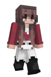 heyzwim Minecraft avatar full body