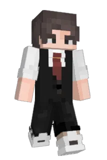 hfect Minecraft avatar full body