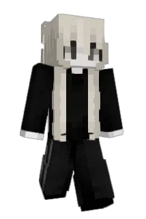 hgft Minecraft avatar full body