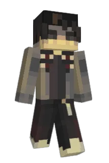 hgi Minecraft avatar full body