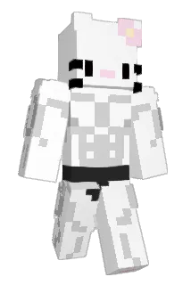 hgjnrthe1st Minecraft avatar full body