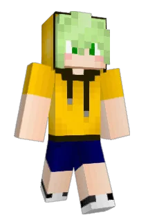 hh4925 Minecraft avatar full body