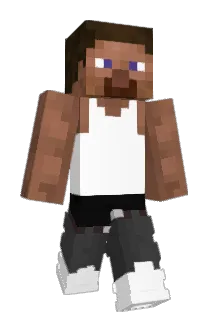 hhatt Minecraft avatar full body