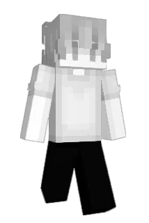 hhayzen Minecraft avatar full body