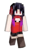 hhgdgf Minecraft avatar full body