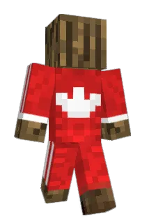 hhkjb Minecraft avatar full body