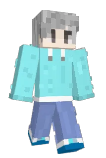 hhl556 Minecraft avatar full body