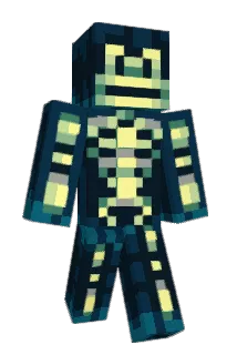 hhns Minecraft avatar full body