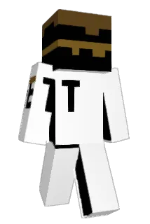 hibbett Minecraft avatar full body