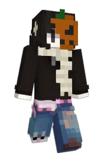 hiddenBeginner Minecraft avatar full body