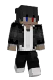 hierbenikdan Minecraft avatar full body
