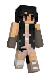 hikarats Minecraft avatar full body